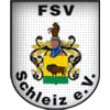 FSV Schleiz II (P)